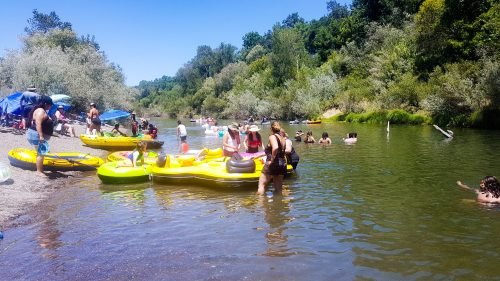 People enjoying a sunny day by the river, swimming and using inflatable rafts among trees and sandy shores.