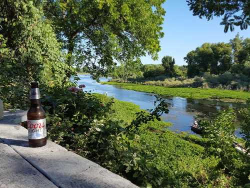 A bottle of Coors Light sits on a stone ledge, overlooking a serene river surrounded by lush greenery.