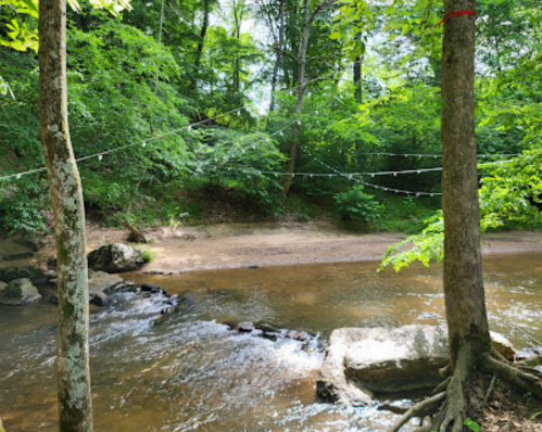 A serene forest scene with a shallow stream, sandy bank, and trees, featuring string lights overhead.