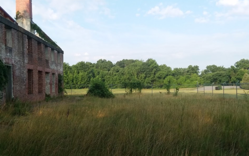 Abandoned brick building beside overgrown grass and trees under a clear sky.