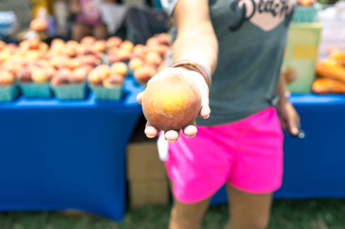 A person holds a peach in front of a table filled with more peaches at a market. Bright blue and pink colors are visible.