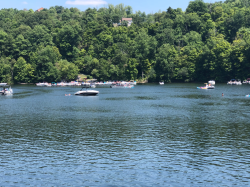A serene lake surrounded by lush green trees, with boats and people enjoying the water on a sunny day.