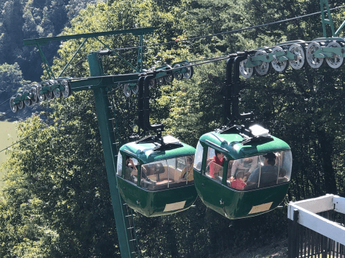 Two green gondolas on a cable car system, surrounded by lush trees and a scenic landscape in the background.