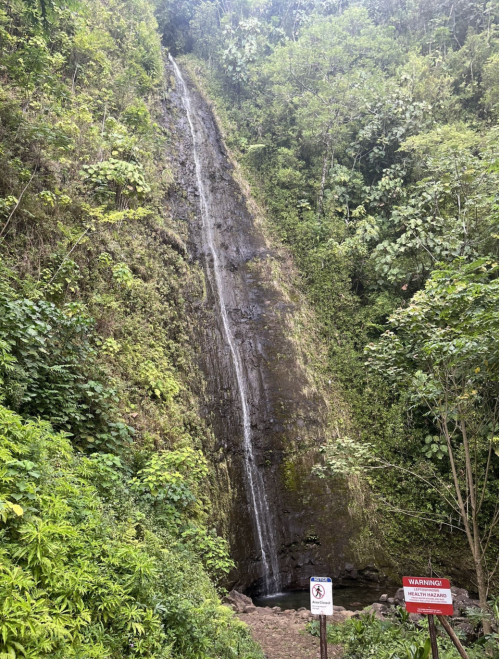 A tall waterfall cascading down a rocky cliff, surrounded by lush green vegetation and warning signs nearby.