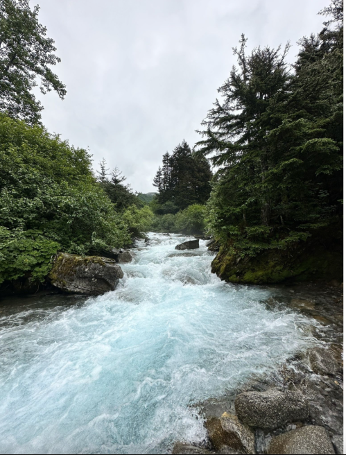 A rushing river flows through a lush green landscape, surrounded by trees under a cloudy sky.