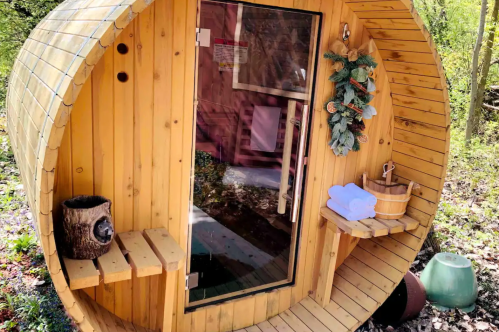 A wooden sauna with a glass door, surrounded by nature, featuring a bench and decorative greenery.