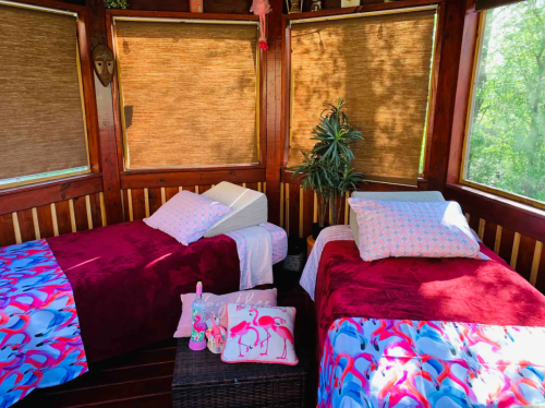Cozy room with two twin beds, colorful bedding, and a potted plant, surrounded by wooden walls and natural light.