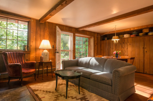 Cozy interior with wooden walls, a gray sofa, a lamp, and a dining area with a table and flowers. Natural light streaming in.