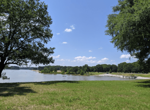 A serene lakeside view with green grass, trees, and a clear blue sky dotted with clouds.