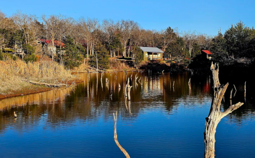 A serene lake scene with reflections, surrounded by trees and a cabin in the background under a clear blue sky.