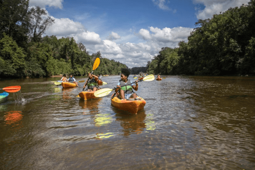 A group of people kayaking on a calm river surrounded by lush greenery and a partly cloudy sky.