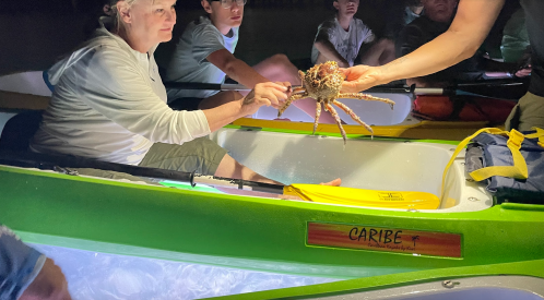 A person in a kayak holds a crab while others watch, illuminated by soft light at night.
