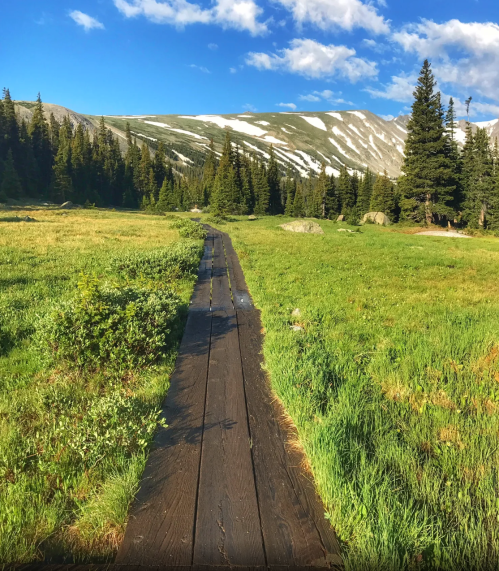 A wooden boardwalk leads through a lush green meadow, surrounded by trees and mountains under a blue sky.