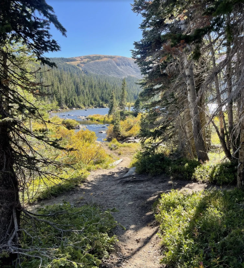 A scenic view of a forested path leading to a river, surrounded by lush greenery and mountains under a clear blue sky.