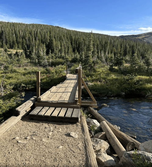 A wooden bridge crosses a stream, surrounded by lush green trees and a clear blue sky in a serene landscape.