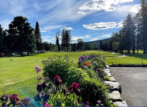 A scenic view of a lush green landscape with colorful flowers, trees, and a blue sky with fluffy clouds.