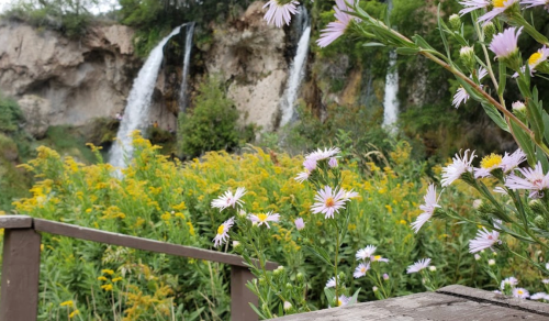 A scenic view of two waterfalls surrounded by vibrant yellow flowers and purple daisies in the foreground.