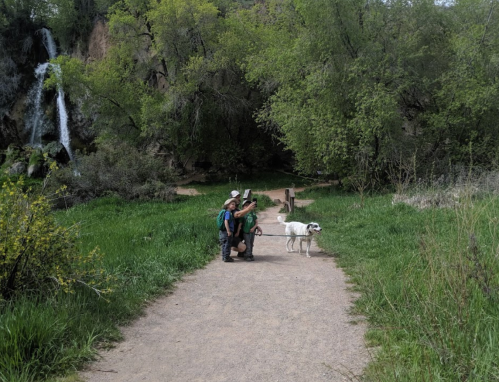 A family with a dog stands on a path near a waterfall, surrounded by lush greenery and trees.