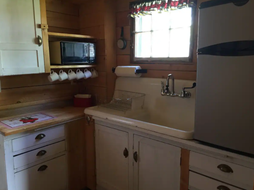 Cozy kitchen with wooden walls, a sink, microwave, fridge, and hanging mugs near a window.