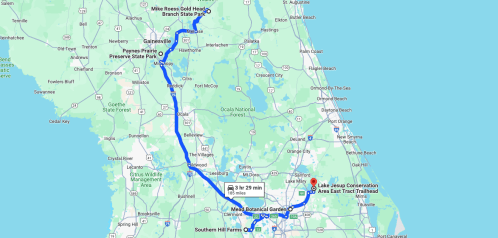 Map showing a route from Lake Jessup Conservation Area to Mike Roess Gold Head Branch State Park in Florida.