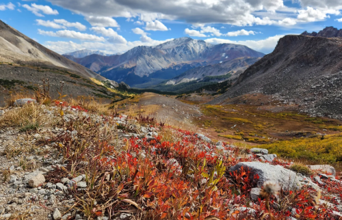 A scenic mountain landscape with rocky terrain, vibrant red foliage, and distant snow-capped peaks under a cloudy sky.