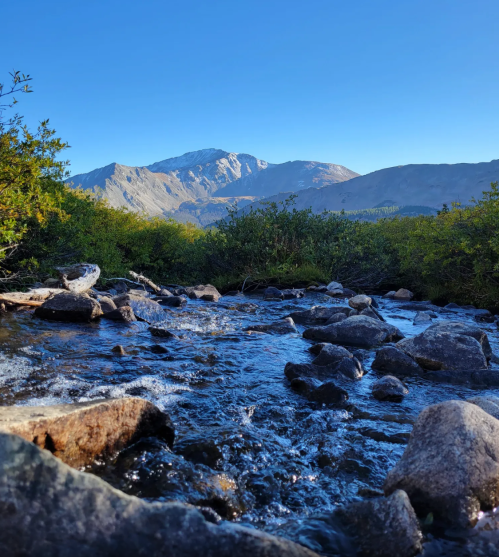 A clear stream flows over rocks, with mountains and a blue sky in the background.