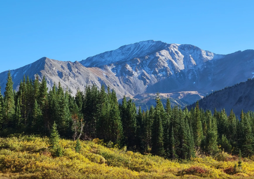 A majestic mountain peak rises above a forest of evergreen trees, with clear blue skies and hints of autumn foliage below.