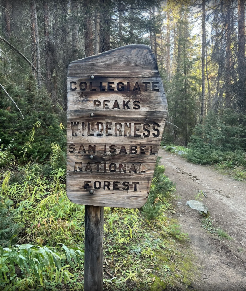 Wooden sign marking the entrance to Collegiate Peaks Wilderness in San Isabel National Forest, surrounded by trees.