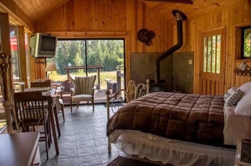 Cozy wooden cabin interior with a bed, seating area, and large windows overlooking nature.