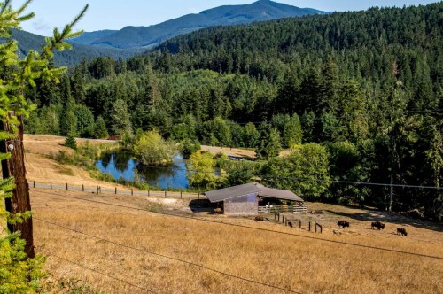 A serene landscape featuring a pond, a barn, and grazing cattle, surrounded by lush forests and mountains in the background.
