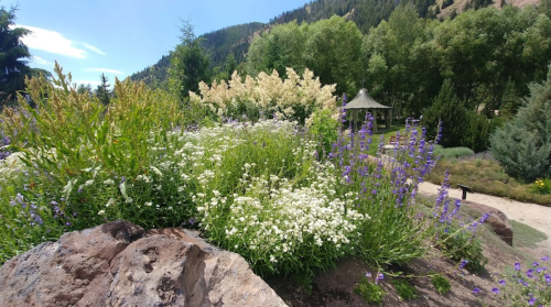 A vibrant garden with blooming flowers, lush greenery, and a gazebo in the background against a mountain landscape.