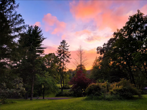 A vibrant sunset paints the sky with pink and orange hues, surrounded by lush trees and greenery.
