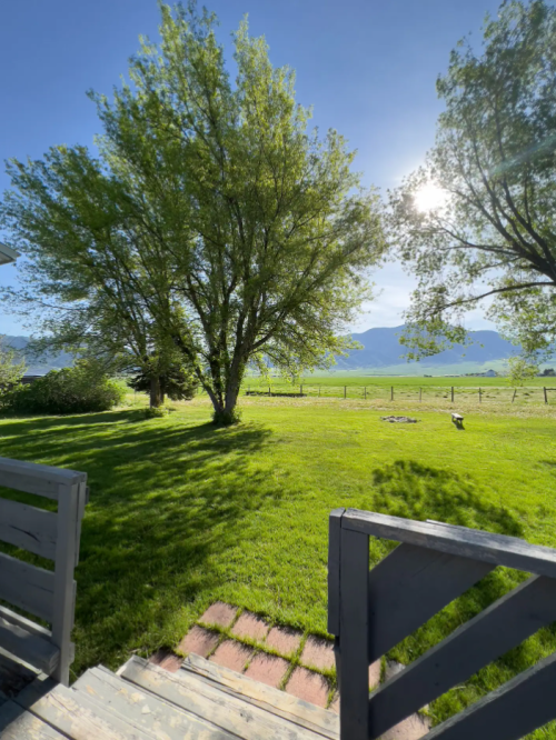 A sunny landscape featuring green grass, trees, and mountains in the background, viewed from a wooden deck.