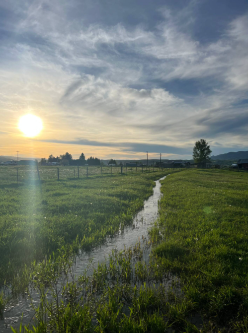 A sun sets over a grassy field with a winding stream, under a sky filled with clouds.