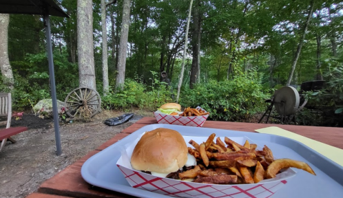 A tray with a burger and fries sits on a table in a wooded outdoor setting.