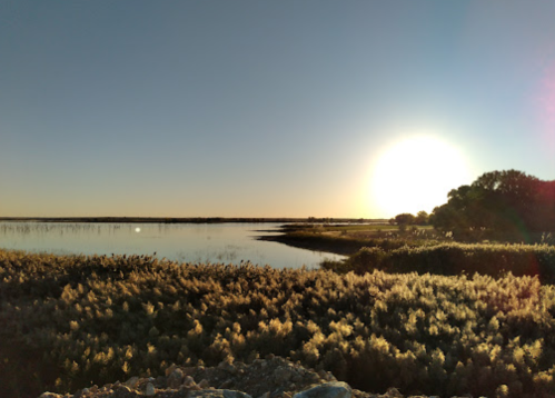 A serene landscape at sunset, featuring a calm water body and lush vegetation along the shore.