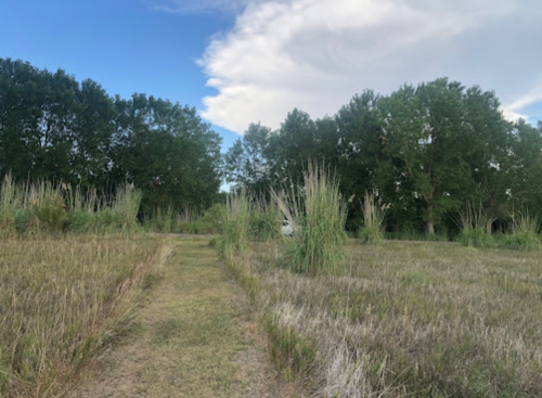 A grassy path leads through a field with tall grasses and trees under a partly cloudy sky.