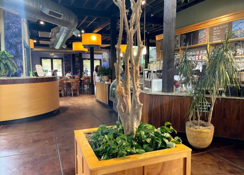 Interior of a café featuring a central planter with a tree, wooden accents, and a counter with seating in the background.