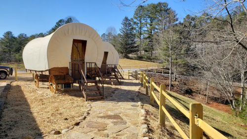 Two covered wagons on a stone path, surrounded by trees and a wooden fence under a clear blue sky.