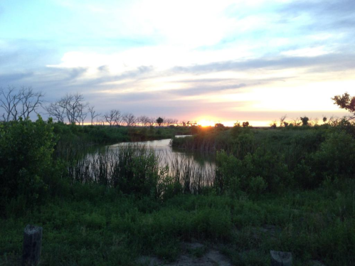 A serene landscape at sunset, featuring a calm waterway surrounded by lush greenery and silhouetted trees.