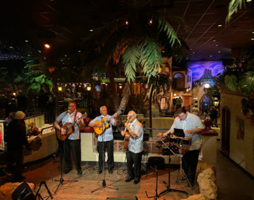 A lively band performs with guitars and drums in a tropical-themed venue, surrounded by palm trees and festive decor.