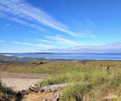 A serene coastal landscape with blue skies, gentle clouds, and a calm sea, framed by grass and sandy shore.