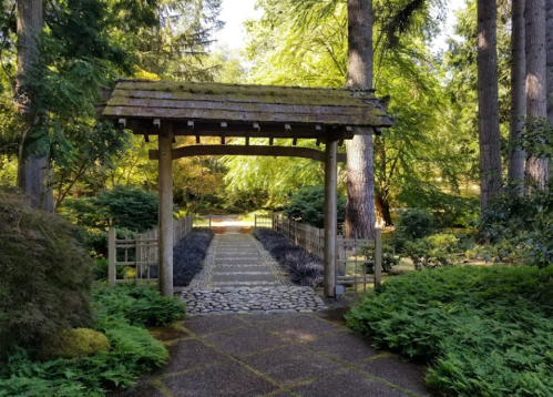 A serene garden pathway leads through a wooden arch, surrounded by lush greenery and tall trees.