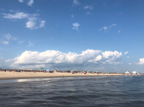 A serene beach scene with soft waves, sandy shore, and fluffy clouds under a blue sky. People and umbrellas in the distance.