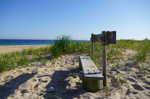 A wooden bench on a sandy beach, surrounded by grass and overlooking a calm blue sea under a clear sky.