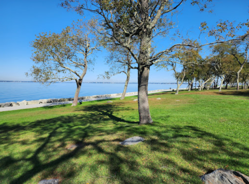 A serene lakeside park with green grass, trees casting shadows, and a clear blue sky reflecting on the water.