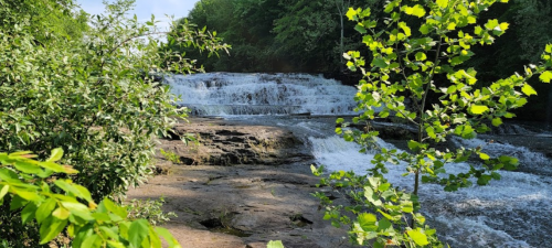 A serene waterfall cascades over rocks, surrounded by lush green foliage and trees in a peaceful natural setting.