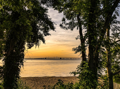 A serene view of a bridge over water at sunset, framed by trees on the shore.
