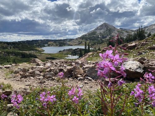 A scenic view of a mountain lake surrounded by rocky terrain and vibrant pink wildflowers under a cloudy sky.