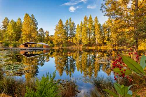 A serene lake surrounded by tall trees, reflecting a wooden cabin and vibrant autumn foliage.